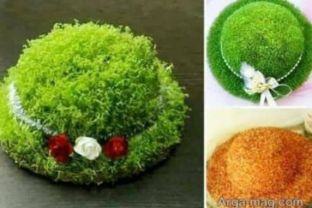 آموزش کاشت سبزه شاهی