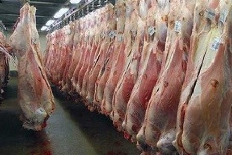 گوشت گوسفند کیلویی ۱۲۵ هزار تومان/ قیمت سازمان حمایت کارشناسی نیست