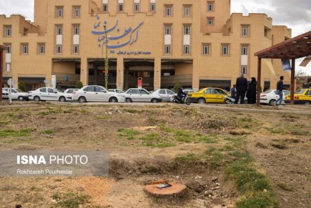 باید بین مترو و درخت یکی را انتخاب کرد