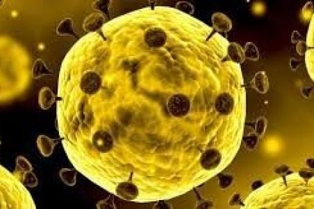 ۸۲ بیمار مشکوک به کرونا در بابل بستری هستند