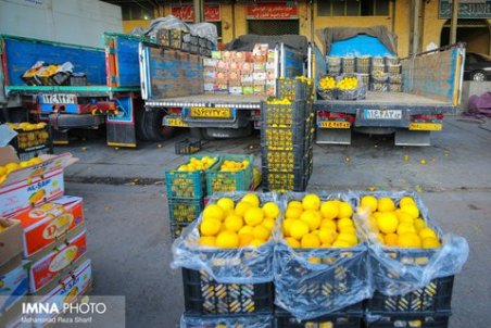 افزایش قیمت میوه و تره‌بار غیررسمی و تخلف صنفی است