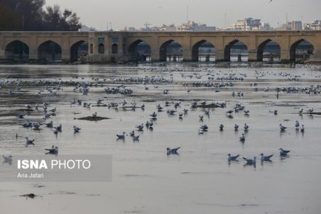 خط قرمز ما تامین آب شرب است/ذخیره ۳۴۸ میلیون مترمکعبی سد زاینده رود