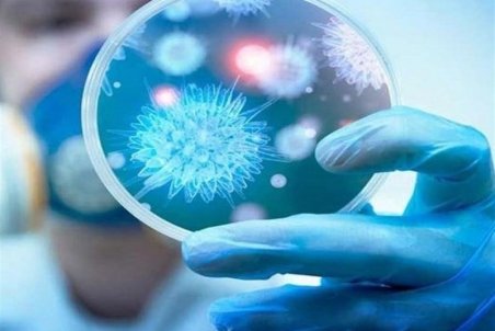 تعداد مبتلایان به کرونا ویروس در کرمان به ۴ نفر رسید