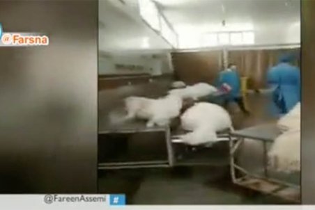 ماجرای کلیپ سردخانه بهشت معصومه در قم