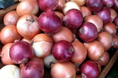 صادرات، پیاز را گران کرد/ افت قیمت زنجبیل و سیر در بازار