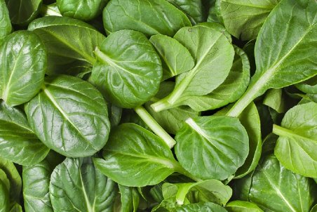 خوراکی‌های ضد ریزش مو