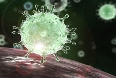 آزمایش ‌۶۵ بیمار مبتلا به کرونا در شاهرود‌ مثبت اعلام شد / تعداد فوتی‌های به ۵ نفر رسید‌