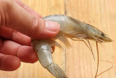 طرز پاک کردن میگو و پخت آن