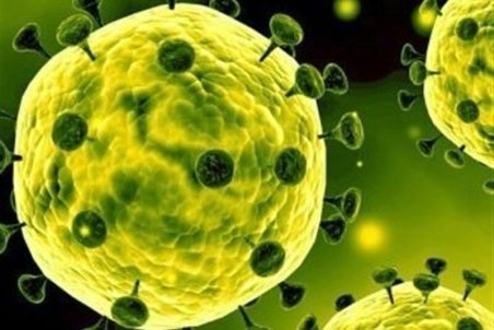 قرنطینه خانگی راه مقابله با انتشار کرونا است