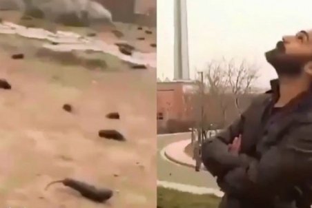 پشت صحنه ساخت ویدئوی جنجالی بارش بادمجان از آسمان تهران!