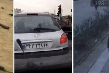 واکنش کاربران به بارش بادمجان از آسمان در روزهای کرونایی چه بود؟