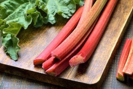 ریواس بخورید تا راحت تر غذا را هضم کنید