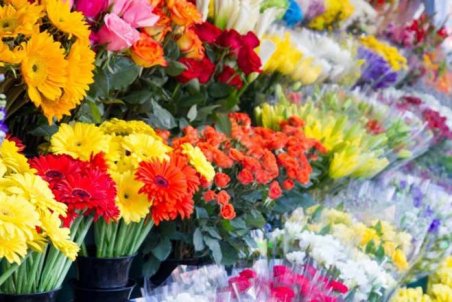 افزایش قیمتی برای گل در نیمه شعبان نداریم