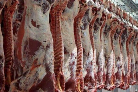 کاهش تولید گوشت گوساله در کشور صحت ندارد/ با مازاد تولید مواجه هستیم