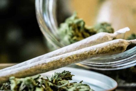 نقش سلبریتی معروف در افزایش گرایش جوانان به مصرف گُل