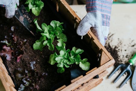 تفاله چایتان را دور نریزید