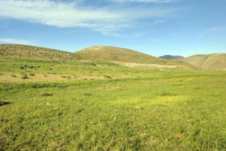 ممیزی 96 درصد مراتع قم انجام شد