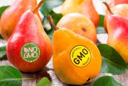 تراریخته چیست؟ بخوریم یا نخوریم؟