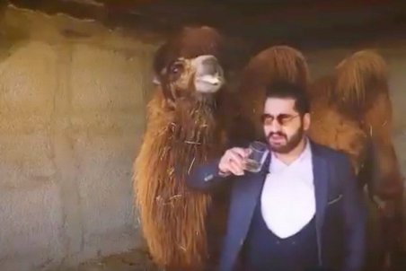 (ویدیو) ماجرای جنجالی درمان کرونا با ادرار شتر؛ ادرار شتر در اسلام چه حکمی دارد؟