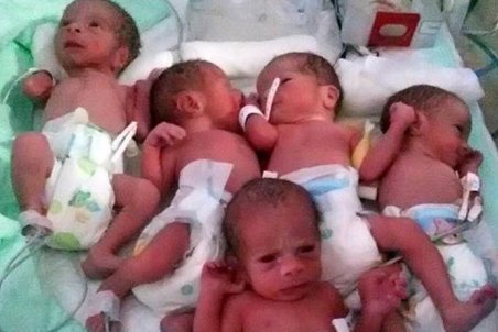 تولد ۵ قلو‌ها در گچساران