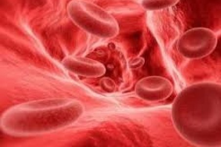 توصیه‌های سازمان بهداشت جهانی برای پیشگیری از کم‌خونی