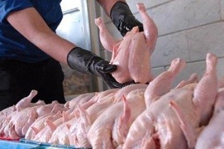 کاهش قیمت مرغ در نخستین روز ماه مبارک رمضان