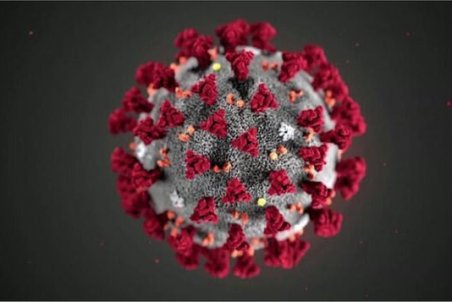 آمار مبتلایان کرونا در خوزستان سه رقمی شد/ ۱۰۹ ابتلای جدید