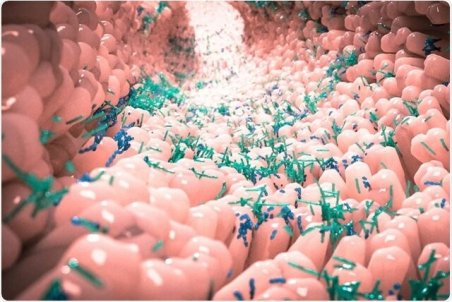 ارتباط شدت بیماری کووید-19 با میکروب‌های روده