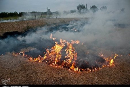 برخورد قضایی با آلوده‌کنندگان هوای شهرها / سوزاندن کاه و کلش مستوجب مجازات و حبس است