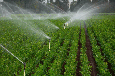 موفقیت قم در دستیابی به سامانه های نوین آبیاری