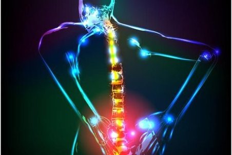 حرکات اصلاحی مناسب برای گودی کمر