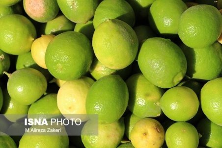 چرا لیموترش گران شد؟