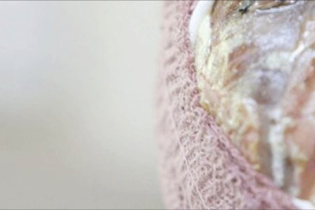 چشم در برابرچشم!