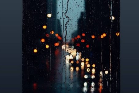 اولین واکنش سینا کمالخانی به رأی شورای نگهبان