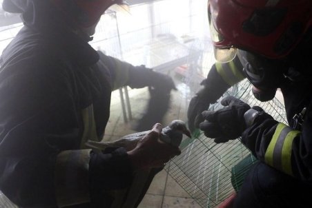 حریق معبد هندوهای بندرعباس مهار شد / ۸۰ درصد غرفه‌ها در آتش سوخت