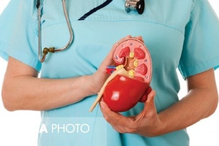 چند توصیه پزشکی برای سالم ماندن کلیه‌ها