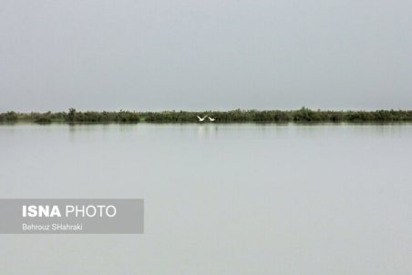 احیای تالاب هامون اولویت اصلی محیط زیست سیستان وبلوچستان است