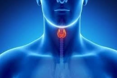 نکاتی که بیماران تیروئیدی در شرایط کرونایی باید رعایت کنند