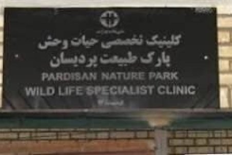 تکذیب تعطیلی کلینیک و مرکز قرنطینه حیات وحش پردیسان