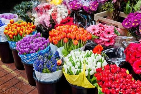 آشفته‌ بازار "گل" و حمایت‌هایی که انجام نمی‌شود