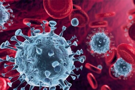 کارد به استخوان برسد، دوباره محدودیت های کرونایی را اجرایی خواهیم کرد