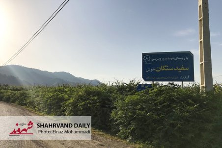 (تصاویر) مراسم هفتم رومینا بر سر مزارش