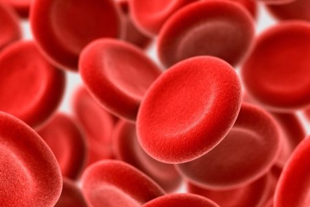 شرایط سنی اهدا‌کنندگان سلول‌های بنیادی کاهش یافت