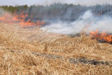 جنگل‌های بالادست کرخه آتش گرفتند/ بالگرد اعزام شد