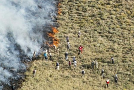 آتش زدن بقایای محصولات کشاورزی در دهلران غیر قانونی است