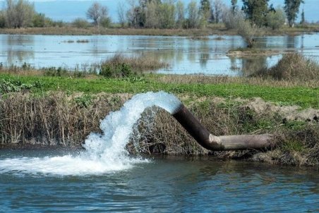 اینجا شمال نیست که ۵۰ بوته نارنج و لیموترش کاشته شود