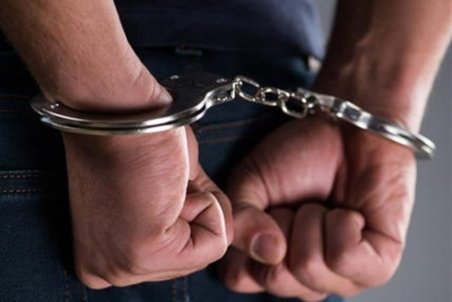 تعدادی در ارتباط با آتش‌سوزی‌های محیط زیست در کرمان دستگیر شدند