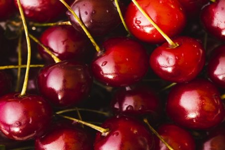 فاکتور‌های گران‌تر از میوه؛ ماجرای قیمت‌های نجومی میوه‌های نوبرانه چیست؟