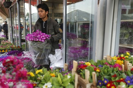 گل فروشان در انتظار بازگشایی تالارها؛ میزان اشتغالزایی صنعت گل چقدر است؟