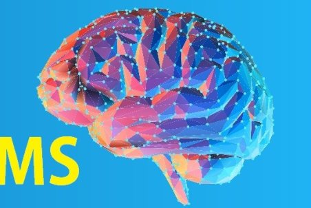 نقش نمک و شیرینی در روند بیماری ام اس چیست؟